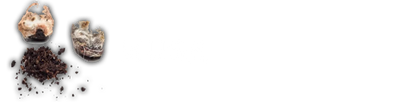 Musk Scent