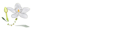 Jasmine Scent